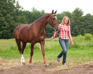 Farm Senior pictures - Kennebunk farm